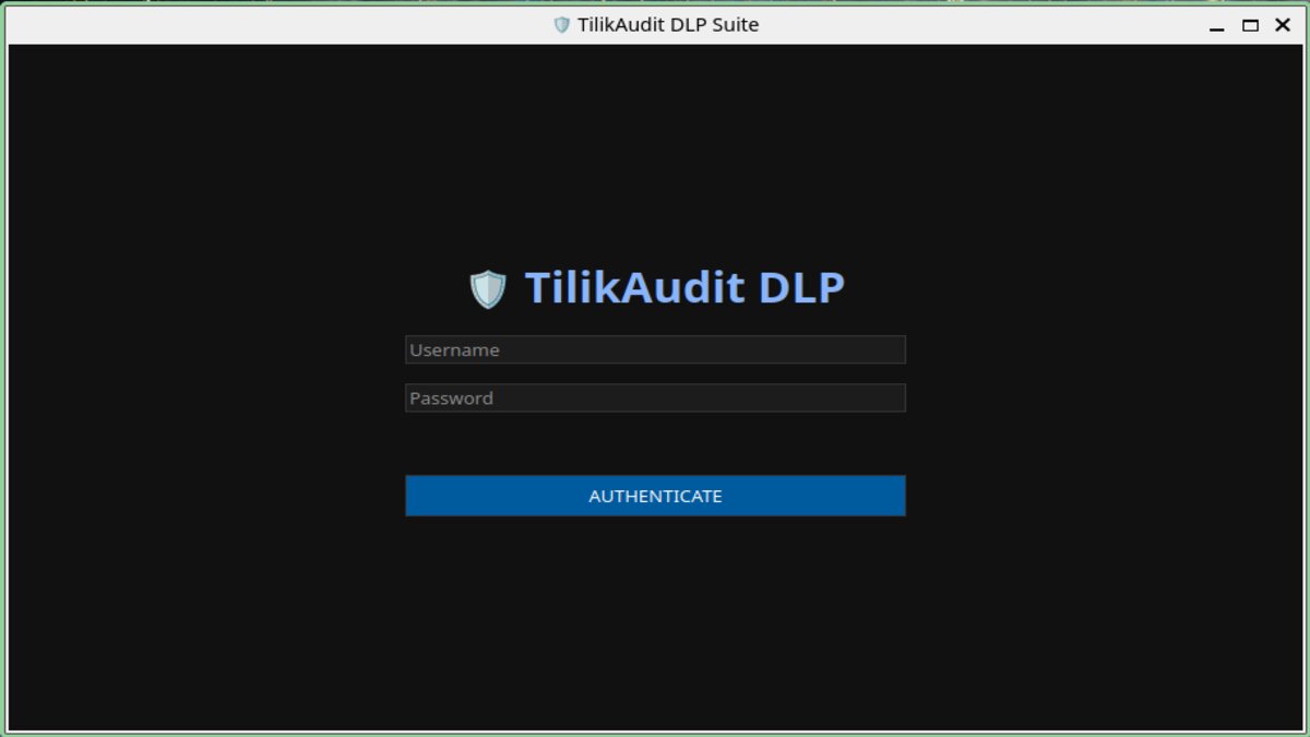 TilikAudit Preview